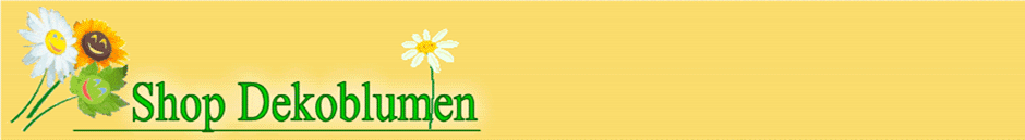 Shop Dekoblumen
